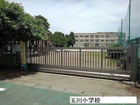 【周辺】 | スター・ヒル桜木 | 玉川小学校まで2200m