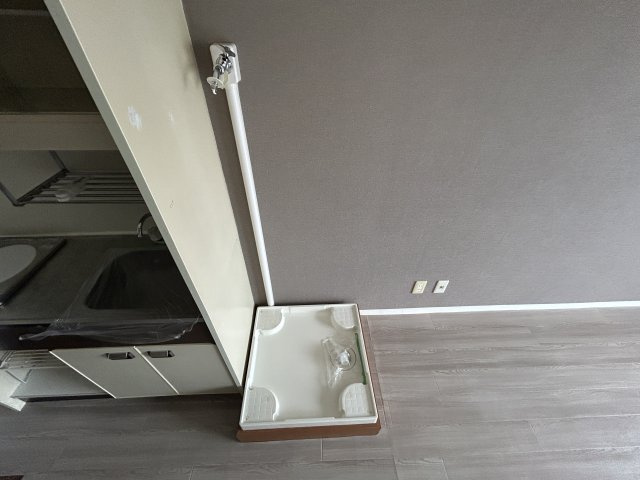 ステューデントビラウィングのその他