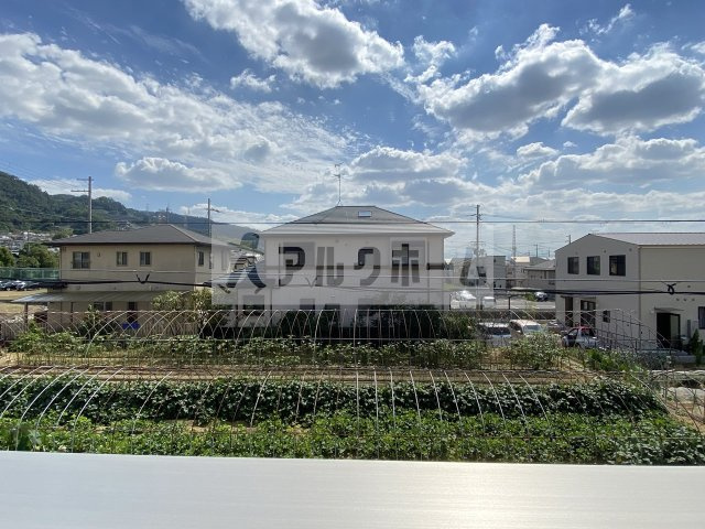 フェリオの展望