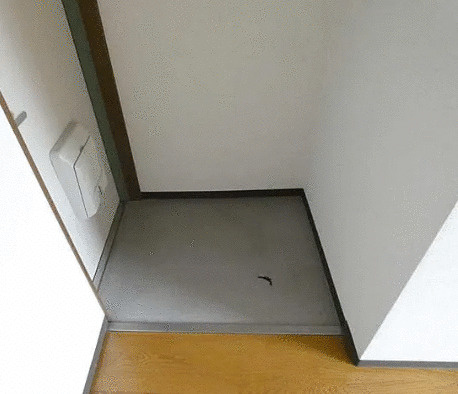 京都市左京区静市市原町の賃貸マンションの玄関