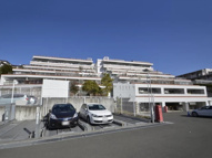 アデニウム玉川学園の画像