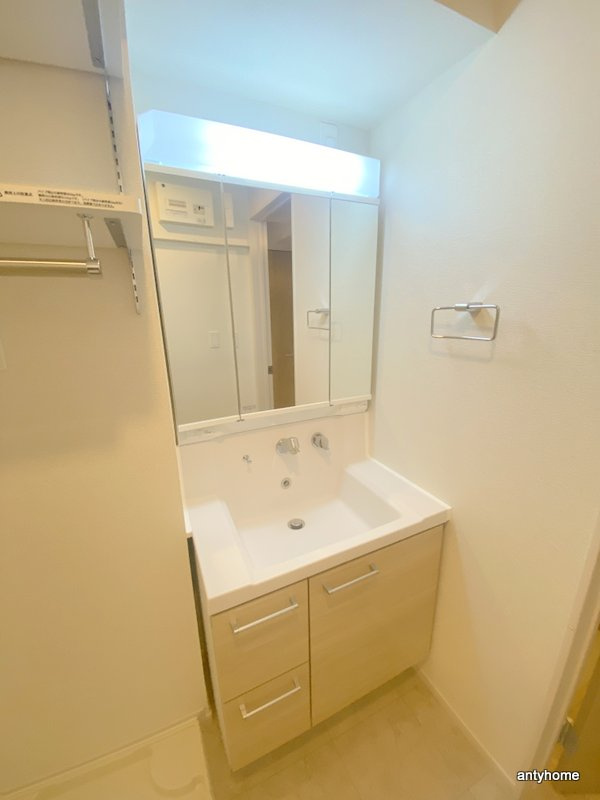 エスポワール立葉の洗面所