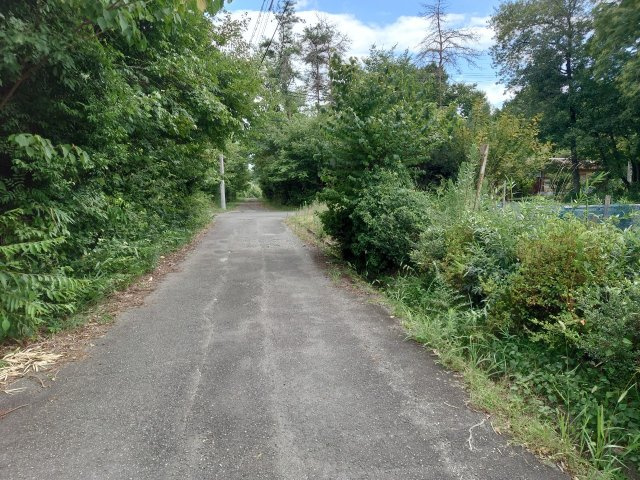 ◆緑豊かな住環境◆畑や栗の木のある広い約１００坪の敷地◆平家建◆駐車スペースあり◆京丹波町中台土橋の前面道路含む現地写真|前道