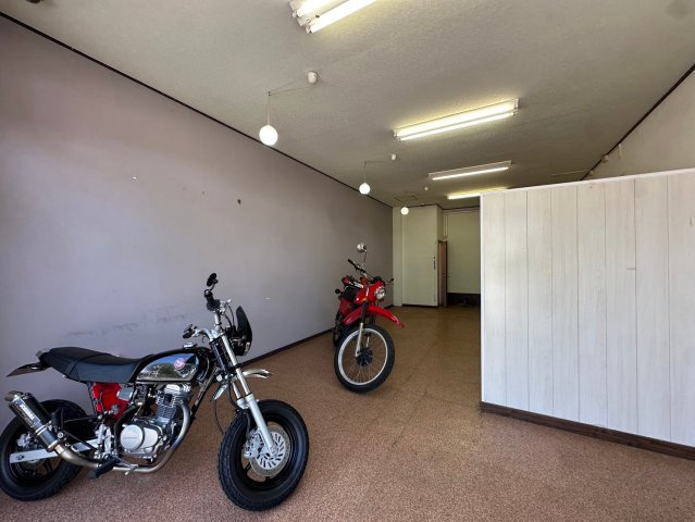 AK愛国のその他