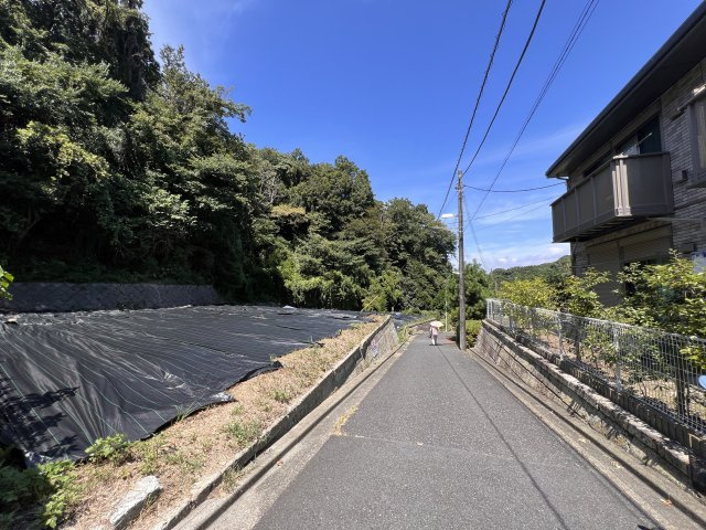 自然と寄り添う暮らし　スローライフ　A区画の前面道路含む現地写真|前面道路

