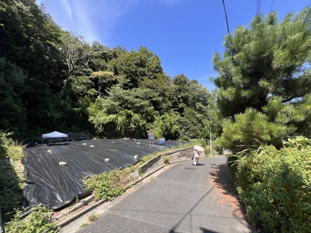自然と寄り添う暮らし　スローライフ　A区画の前面道路含む現地写真|前面道路