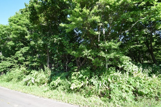 小樽市塩谷2丁目　売土地の外観