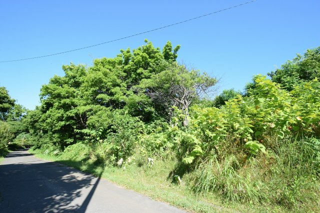 小樽市塩谷2丁目　売土地の前面道路含む現地写真