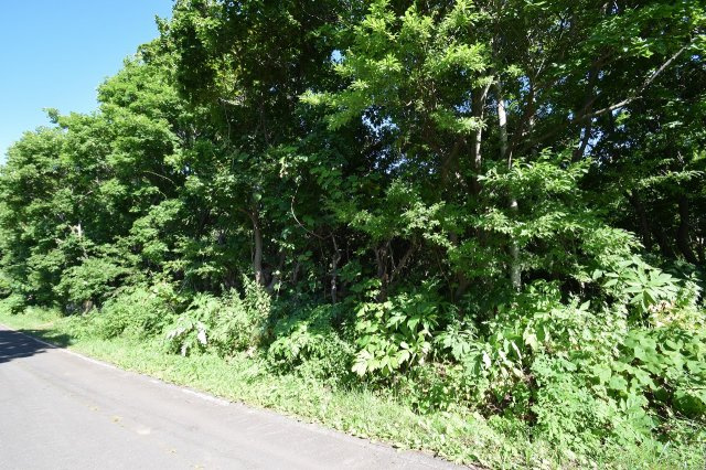 小樽市塩谷2丁目　売土地の外観