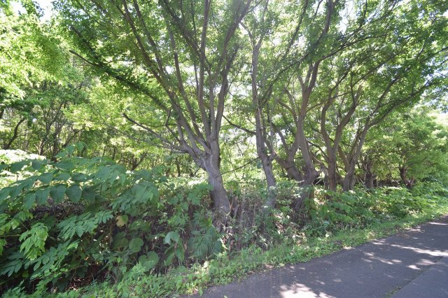 小樽市塩谷2丁目　売土地の外観