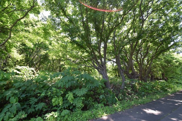 小樽市塩谷2丁目　売土地の外観