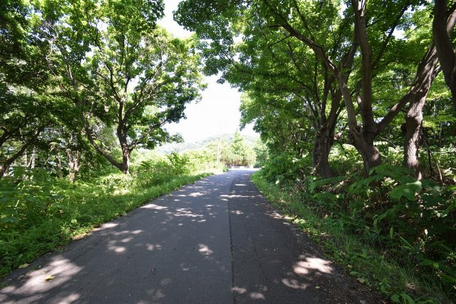 小樽市塩谷2丁目　売土地の前面道路含む現地写真