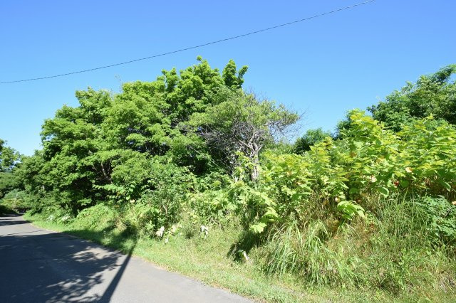 小樽市塩谷2丁目　売土地の周辺