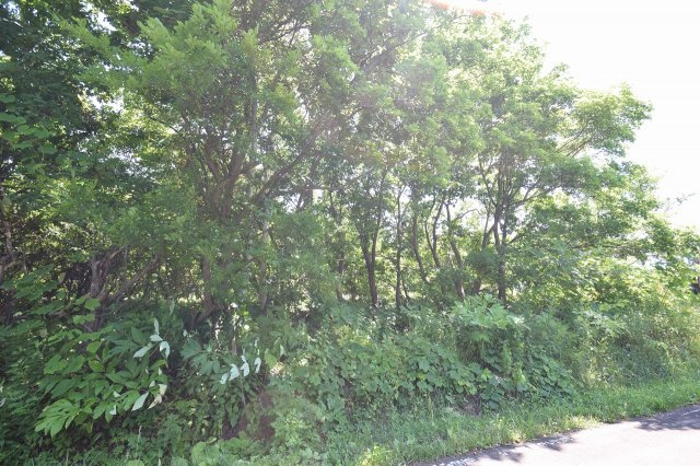 小樽市塩谷2丁目　売土地の外観