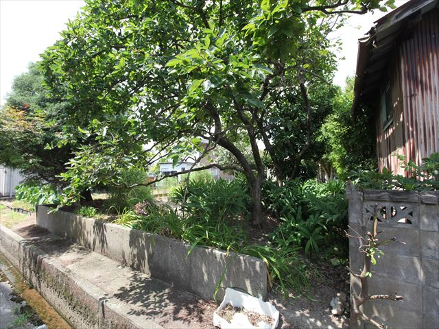 【外観】の画像