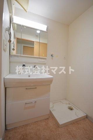 グレイス難波南の洗面所