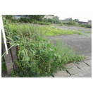 【庭】 | 菊池市野間口サンワ店舗