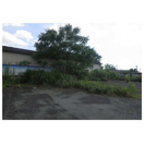 【その他】 | 菊池市野間口サンワ店舗