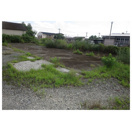 【庭】 | 菊池市野間口サンワ店舗