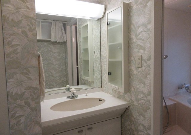 パシフィックビスタⅡの洗面所