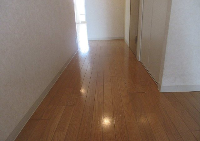 パシフィックビスタⅡのその他