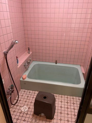 日高郡由良町戸津井・中古戸建・54601の浴室