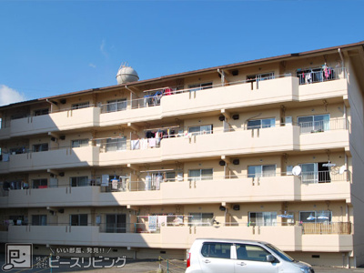 【外観】 | 豊浜マンション