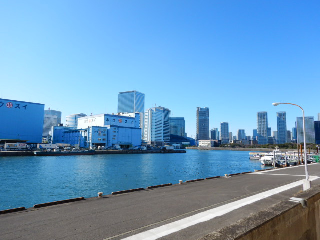 コスモ東京ベイタワーの周辺