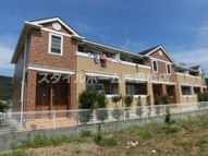 フルールの画像