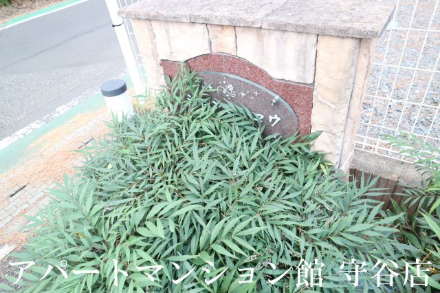 シャンミリュウのエントランス
