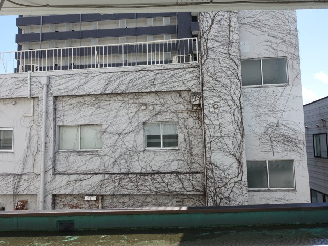 鈴木ビルの展望