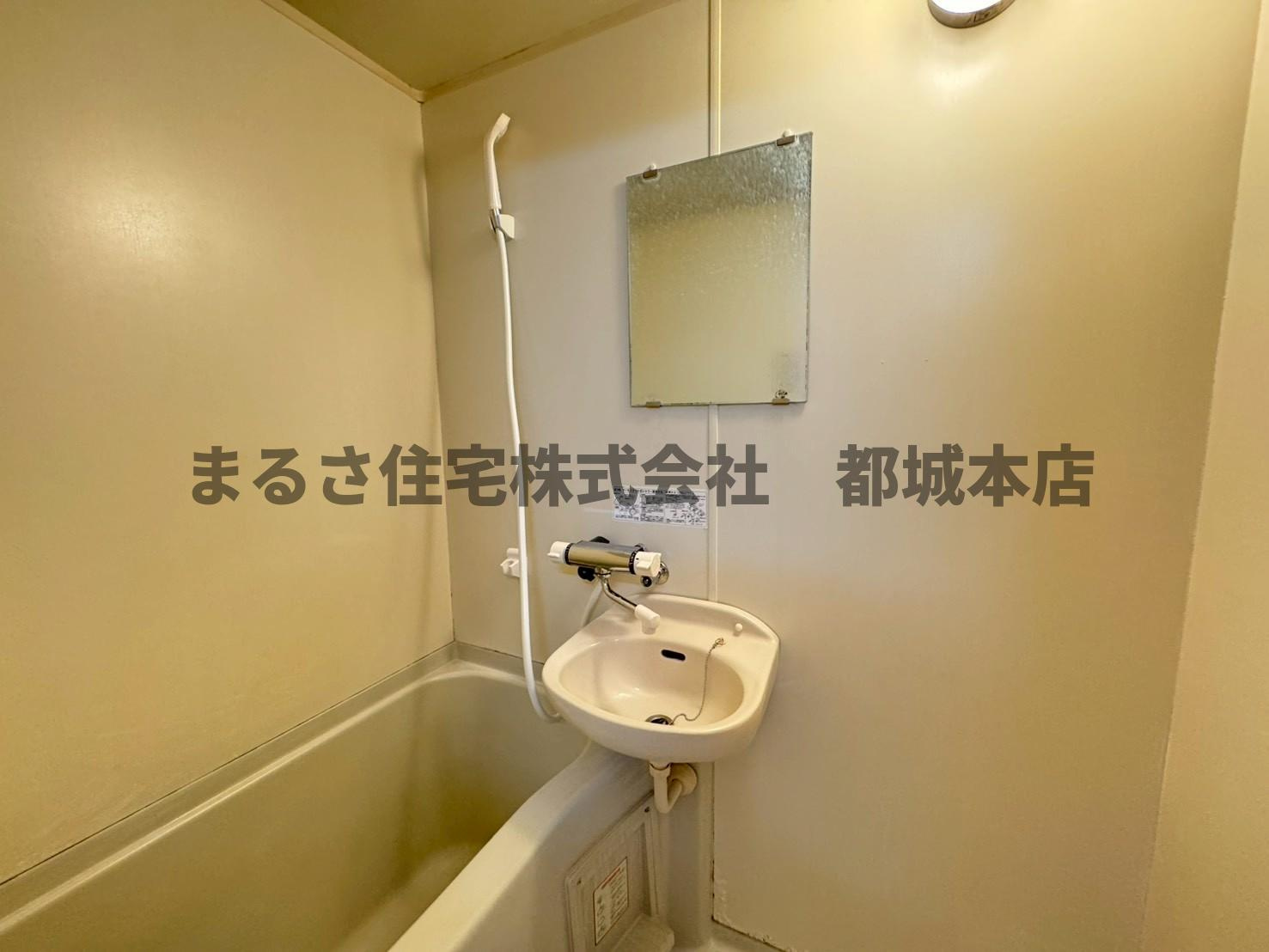 エレファント中之丸の洗面所