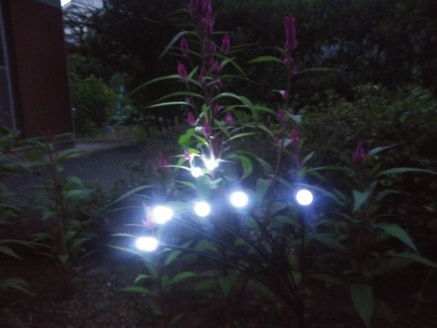 福島市小田　中古戸建の庭