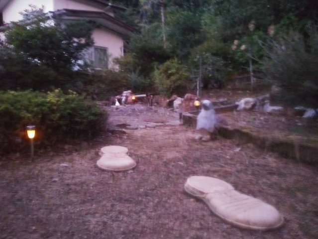 福島市小田　中古戸建の庭