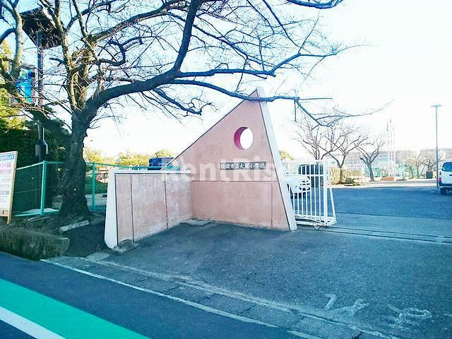 プランタンのその他|その他