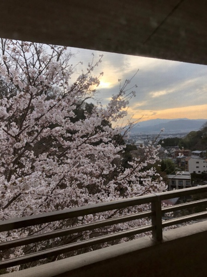 【その他】 | S50860京都北白川ｱｰﾊﾞﾝｺﾝﾌｫｰﾄ