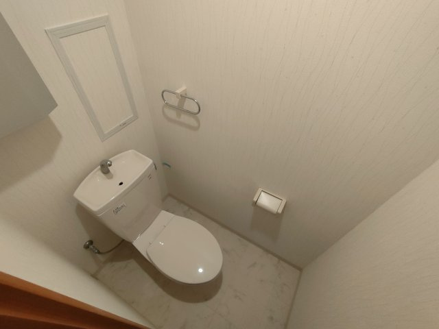 フォレストヒルズⅡのトイレ|落ち着いた色調のトイレです
