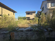 S11694-第三錦林の画像