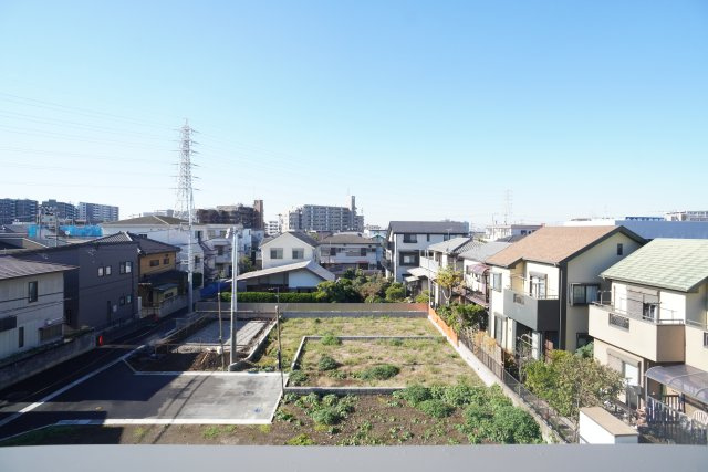 ルーツの展望
