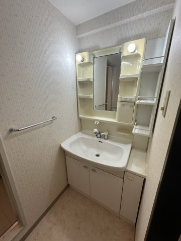 サンライズマンション岩出Ⅷの洗面所