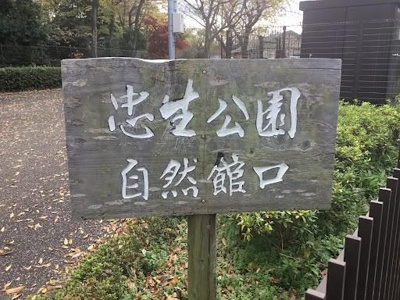 【周辺】 | シャディナス 