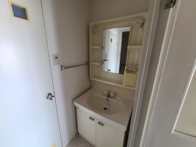 ダンディライオン住吉川の洗面所