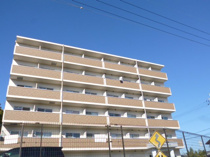 Ａｎｔｅｖｏｒｔｅの画像