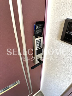  | ドミールＴＦ