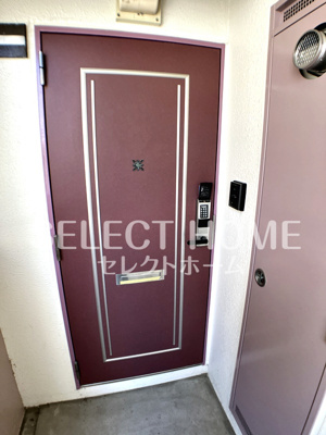  | ドミールＴＦ