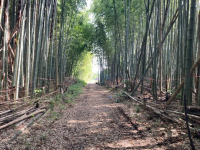 【周辺】 | つくば市沼崎土地