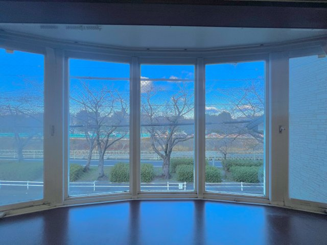 名東区香流三丁目戸建の展望|香流川を見渡せる景観の良い一戸建です。春には桜並木が楽しめます