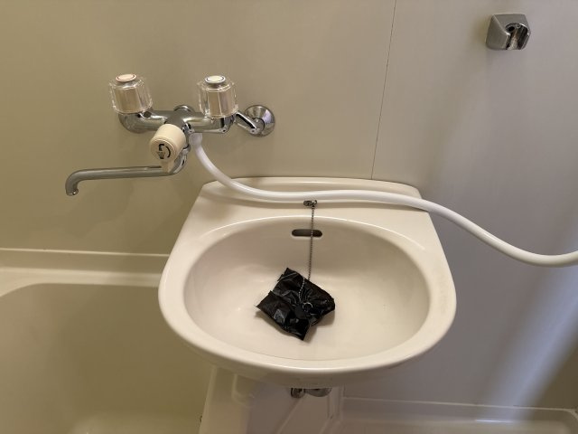 モアセゾンⅡの洗面所