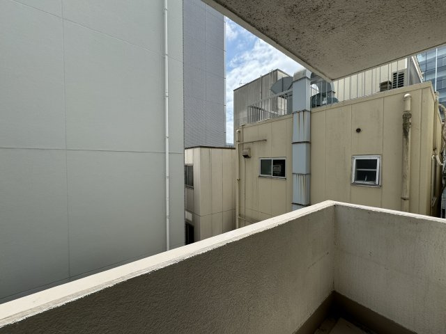 門前仲町サマリヤマンションの展望