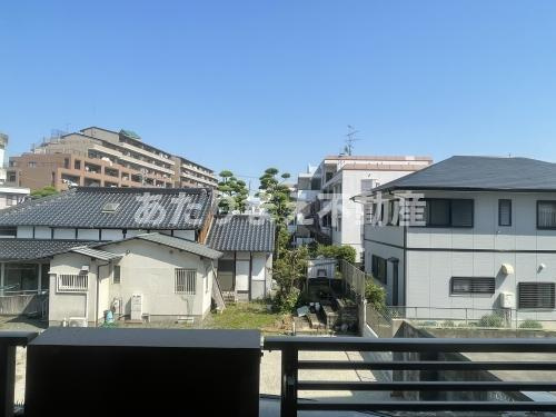 ジェネシスⅡの展望